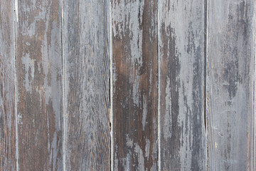 Obraz premium rustic wooen wall
