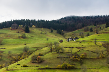 Fototapeta na wymiar Schwarzwald