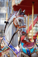 Fototapeta na wymiar Close up of a white Carousel Horse Head with a Colorful Bridle, on Blurred background. Horizontal Image.