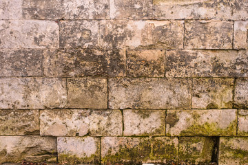 Old brick wall - vintage texture background with green algae or lichen