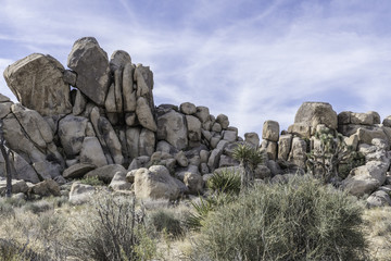 the Mojave desert in Joshua Tree National Park and the monzogranite rock formations found there