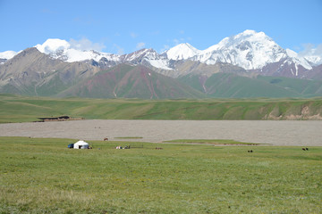 White Yurts, free running horses and snow covered Pamir mountains in the background, Kyrgyzstan