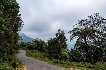 Road leading to Horton Plains, Sri Lanka