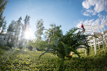 Fototapeta premium Beautiful setting for outdoors wedding ceremony waiting for bride and groom and guests. White chairs decorated with flowers, are in the zone of the wedding ceremony in a forest