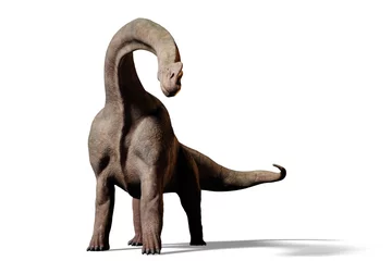Poster Brachiosaurus altithorax dinosaur © dottedyeti