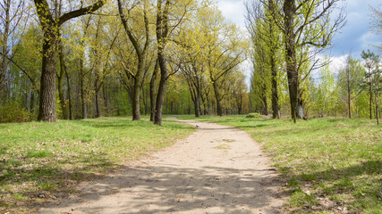 Fototapeta na wymiar Dirt road in the park on the border between Sosnowiec and Katowice cities