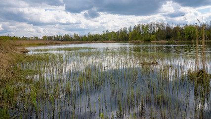 Borki lake on the border between Sosnowiec and Katowice cities