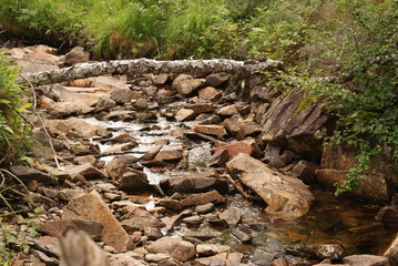 Bachlauf in Norwegen