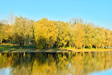 Brzeg jeziora, jesiennne drzewa w słońcu.
