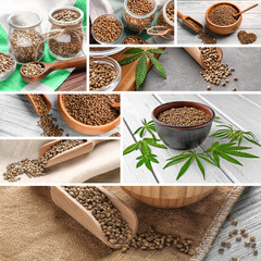 Collage with raw hemp seeds