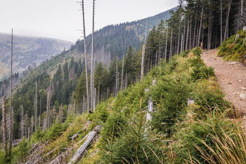 Footpath from Pec pod Snezkou town in Czech Republic to the peak of Snezka Mountain