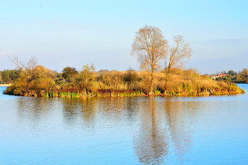 Brzeg jeziora, jesiennne drzewa w słońcu.