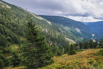 Fototapeta na wymiar Obri Dul Valley in Czech Republic seen from path to Mount Sniezka, the highest peak of Sudetes mountain