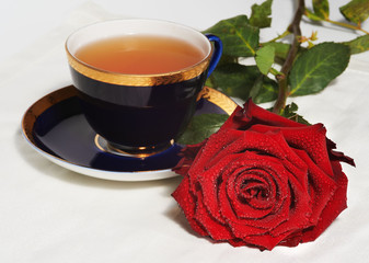 Red rose and a cup of tea on white background
