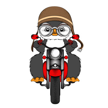 The poster of the penguin wearing the motorcycle helmet and driving the motorcycle. Vector illustration.