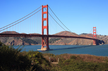 Golden Gate Bridge Brush View