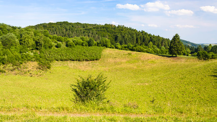 landscape of Nature and Geopark Vulkaneifel