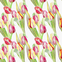 Stylized tulips flowers illustration. watercolor - 187260947