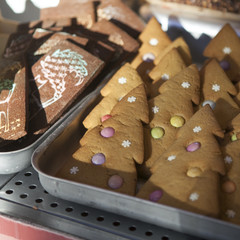 christmas gingerbread cookie