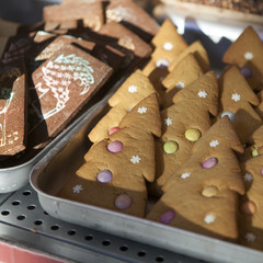 christmas gingerbread cookie