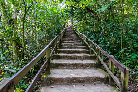 Sotano de las Golondrinas