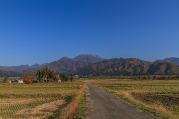 Fototapeta premium 秋の六日町の田園風景