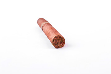 Elegant brown cigar on white background. Havana cigar isolated on white background.