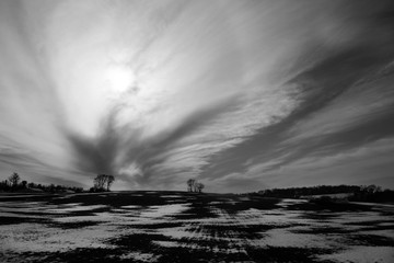 Black and white landscape