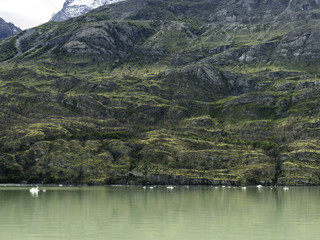 Glaciar Gray and Lago Gray, Torres del Paine National Park