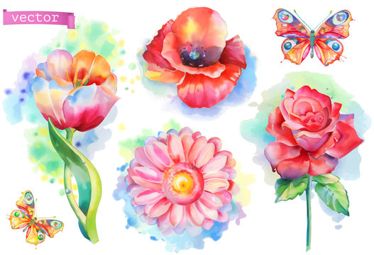 Spring flowers set. Watercolor vector