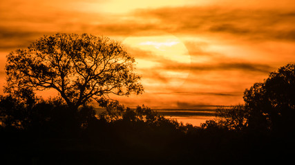Sunrise in the nature background