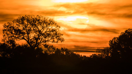 Sunrise in the nature background