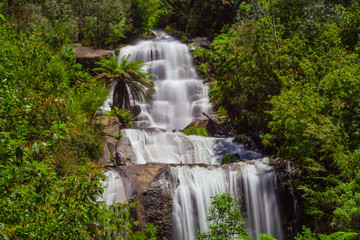 Obraz premium Beautiful Fainter Falls in native Australian Forest. Kiewa Valley, Victoria, Australia