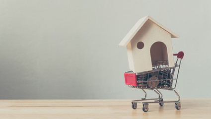 Property investment and house mortgage financial concept, House and money coin in shopping cart