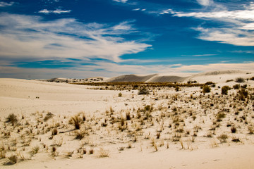 White Sands 6