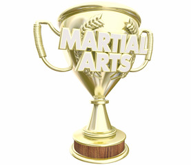Martial Arts Trophy Top Prize Award 3d Illustration