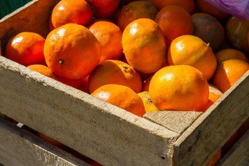 Mandarins in the street market