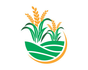 paddy wheat icon agricultural agriculture harvest farming image vector