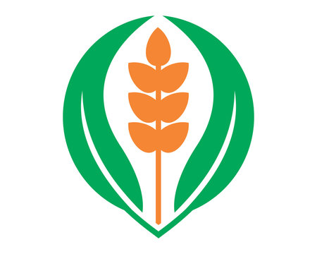 paddy wheat leaf icon agricultural agriculture harvest farming image vector