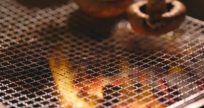 Putting capelin on barbecue grill net