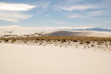 White Sands 16