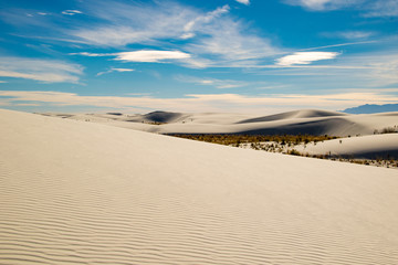 White Sands 10