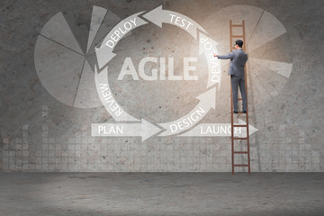 Concept of agile software development
