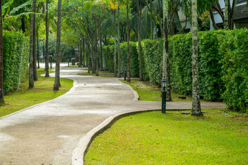 Landscape with jogging track at green park