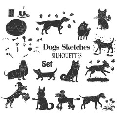 Funny Dogs Sketches 