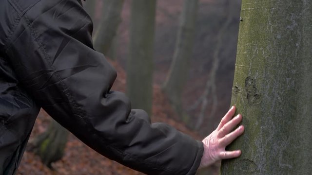 Man touches tree and leaving into forest - (4K)