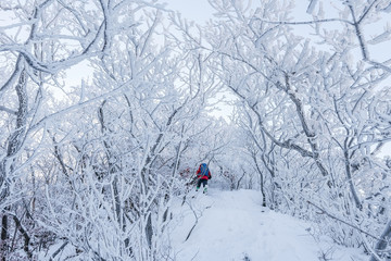 Hiking in the winter with trekking photo .winter mountains landscape snow in korea