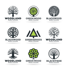 Fototapeta na wymiar Vector trees with stylized green leaves, branches and roots. Set of nine icons and logo design elements