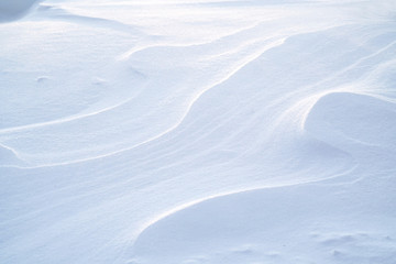close on drift snow background, winter seasonal scene