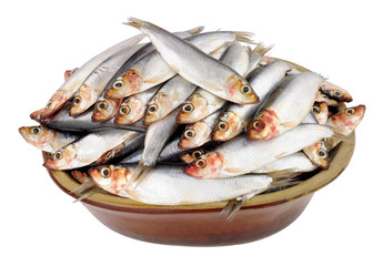 Rustic dish filled with fresh raw fish sprats isolated on a white background